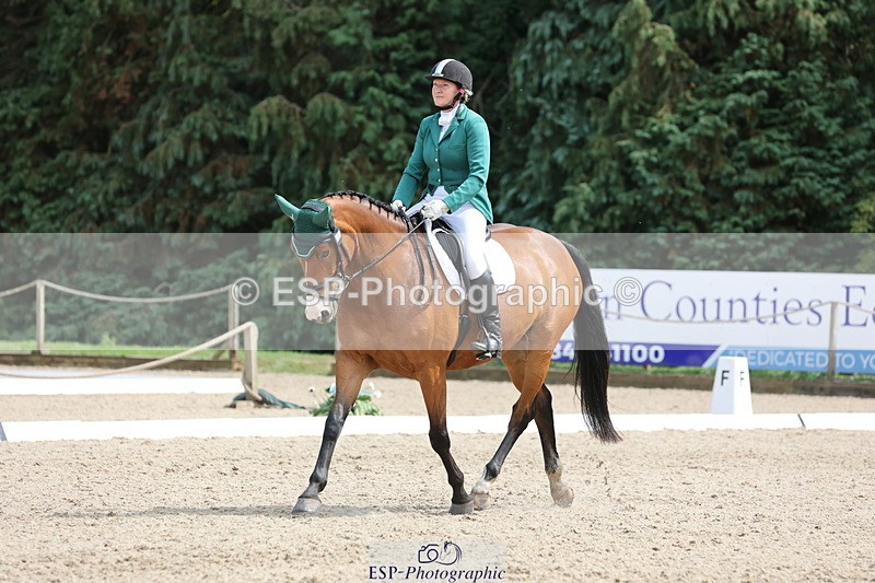 250718A-152752-02567 - 152-Tracy.OKennedy-Wylye.Harlequin