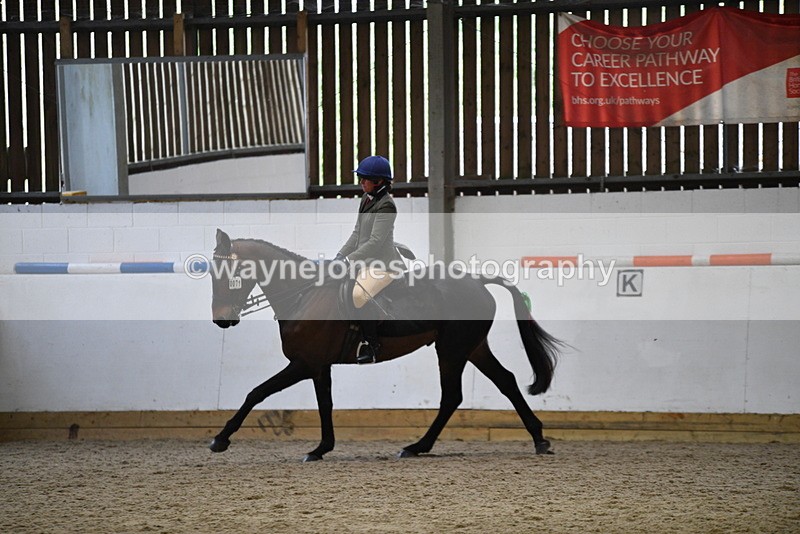 WJ5_8004 - Class 13 Ridden Part Breed