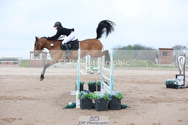 250424-090647-02556 - Cls 29 Young Horse 6yr old