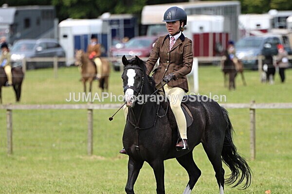 IMG_3203 - Working Hunter