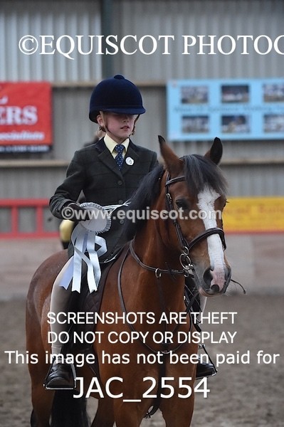 JAC_2554 - CLASS 3 Intermediate Working Hunter