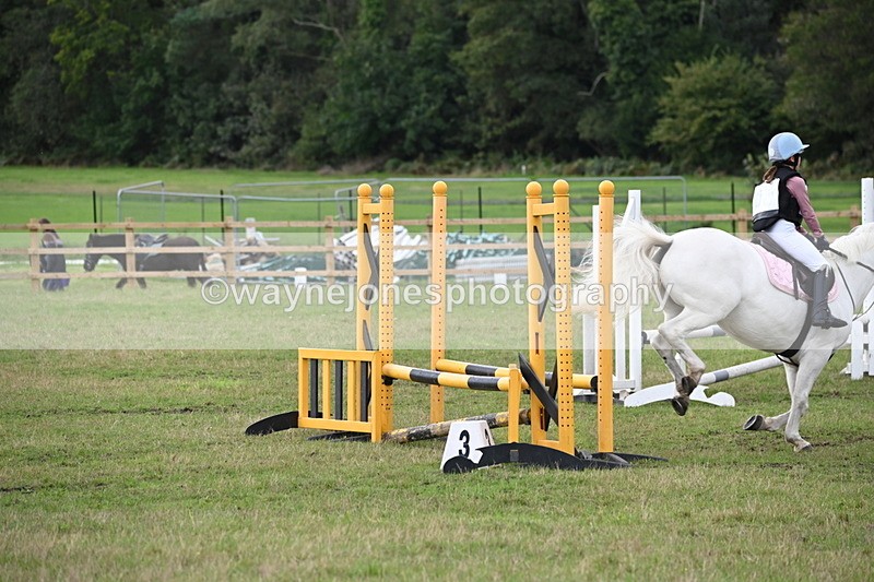 WJ6_1514 - 60cm Time 11:51 to 12:10