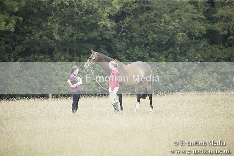 B230619-0633 - Bourne Valley Riding Club Summer Show 23/06/19