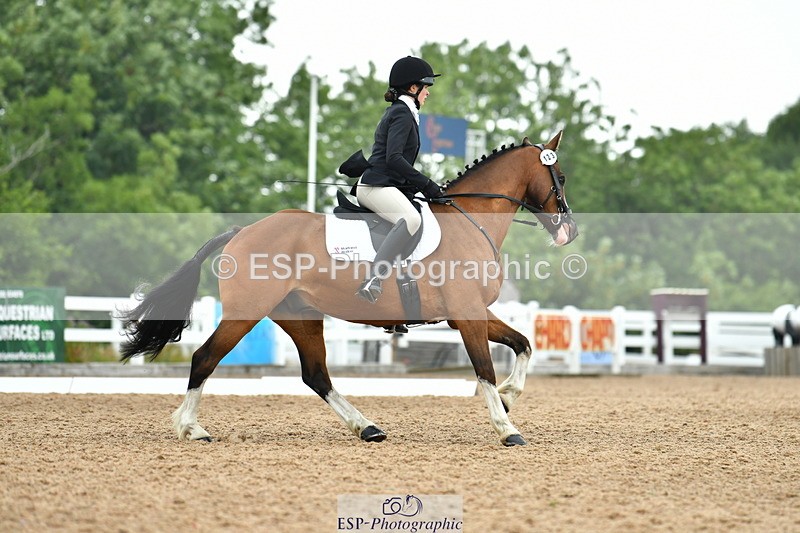 230708A-115221-02642 - Prelim 13