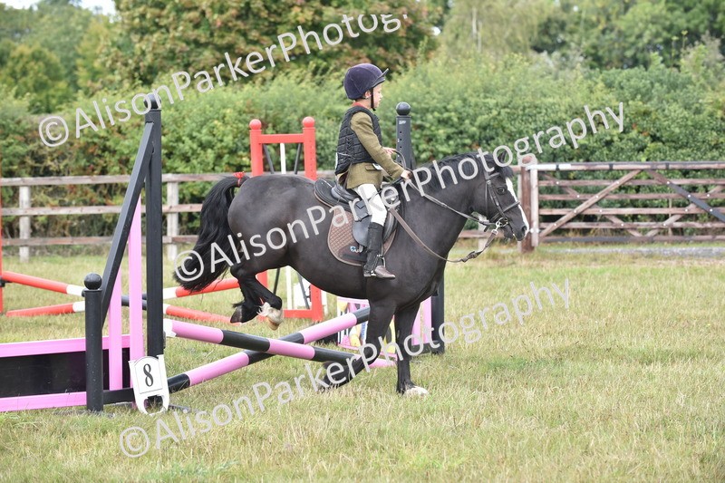 20250831-1827 - Class 8 - Hoof and Foot