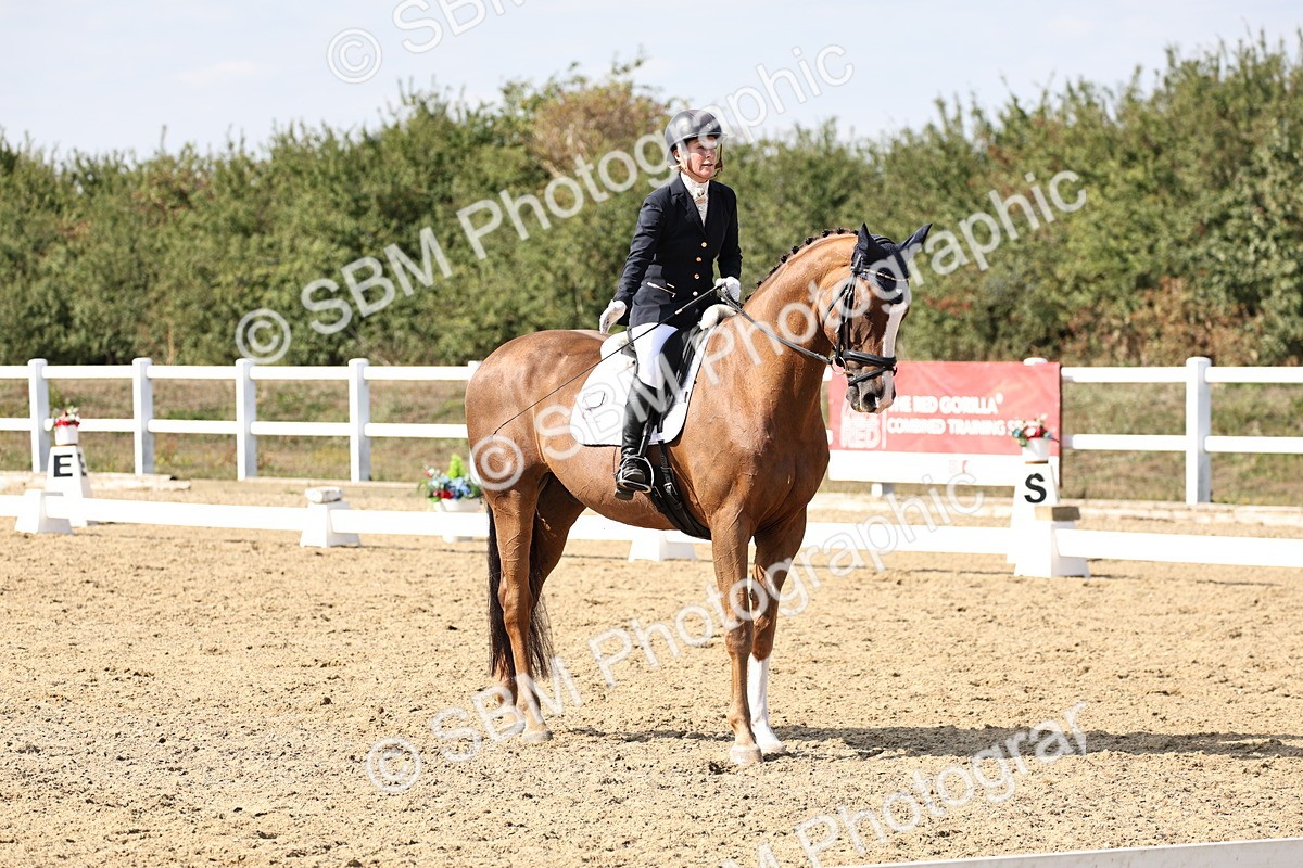 SBM_014946 - Class 7 - Medium 3