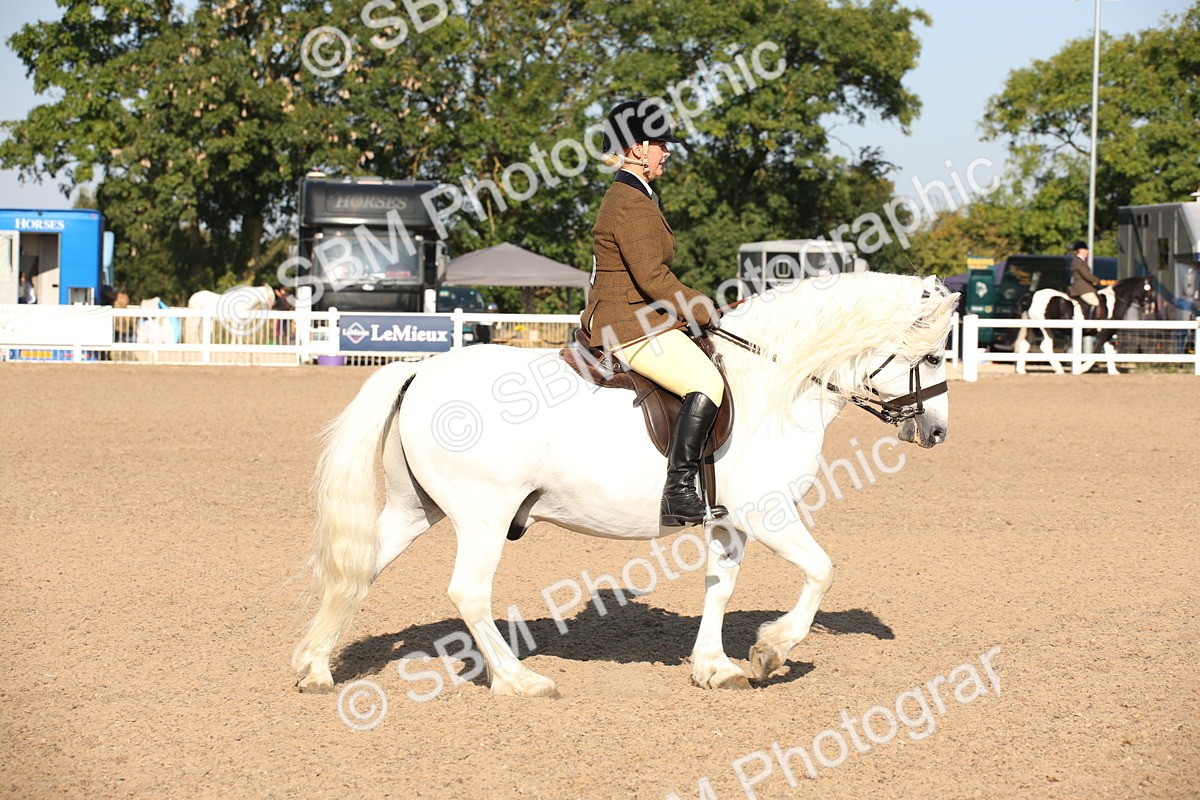 SBM_00699 - Class 14 Ridden M&M Wildcard