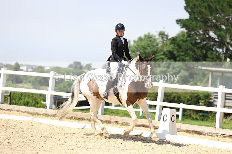 3E7A2014 - Class 7: Unaffiliated Novice 3 2024 Section B