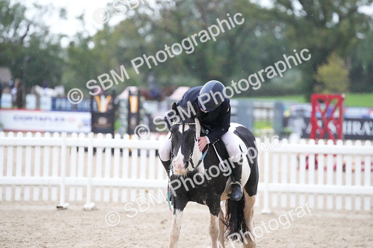 SBM_33971 - J5 - Junior Pony 50cm Championship