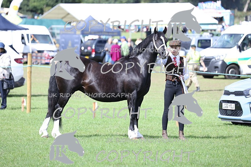 APP_2788 - Class 10a/b M&M in hand