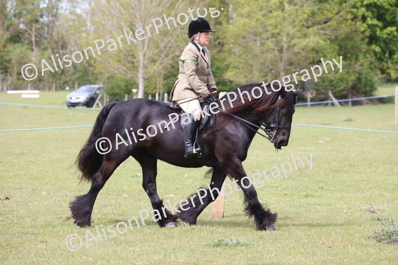 20260426-2949 - Class 33 - Best Pony 14.2hh and Under