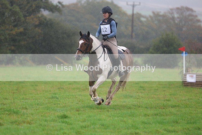 3E7A0893 - Class 1: 65cm: Rails