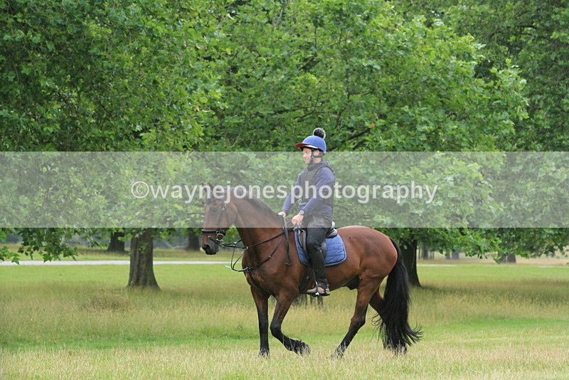 IMF_1761 - Time at Castle Jump 10:15 to 11:19