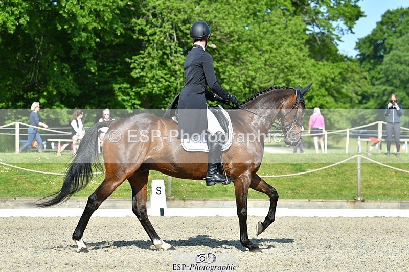 230525-092841-03749 - 405-MATTERHORN_RISING-Arthur_Duffort-DR