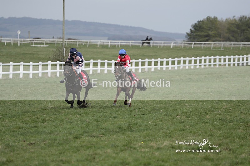 PtP 260323 1003 - New Forest Hounds Point-to-Point Larkhill 26/03/23