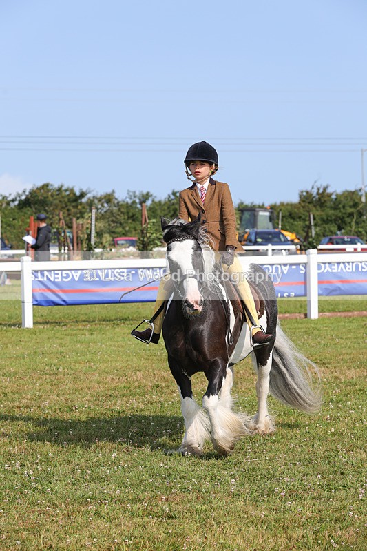 1X9A3315 - Class 28: Ridden Native/Trad Coloured Pony