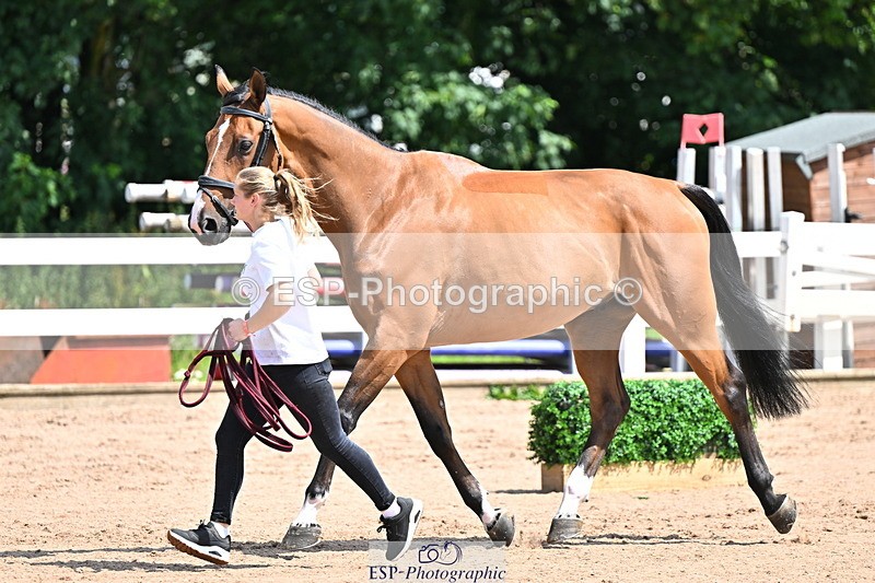 240718A-105242-01048 - Trot Up 11am to 12pm