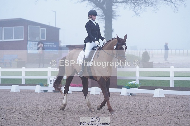 250215-094718-02702 - 142-Daisy.Hedges-Felicia.v