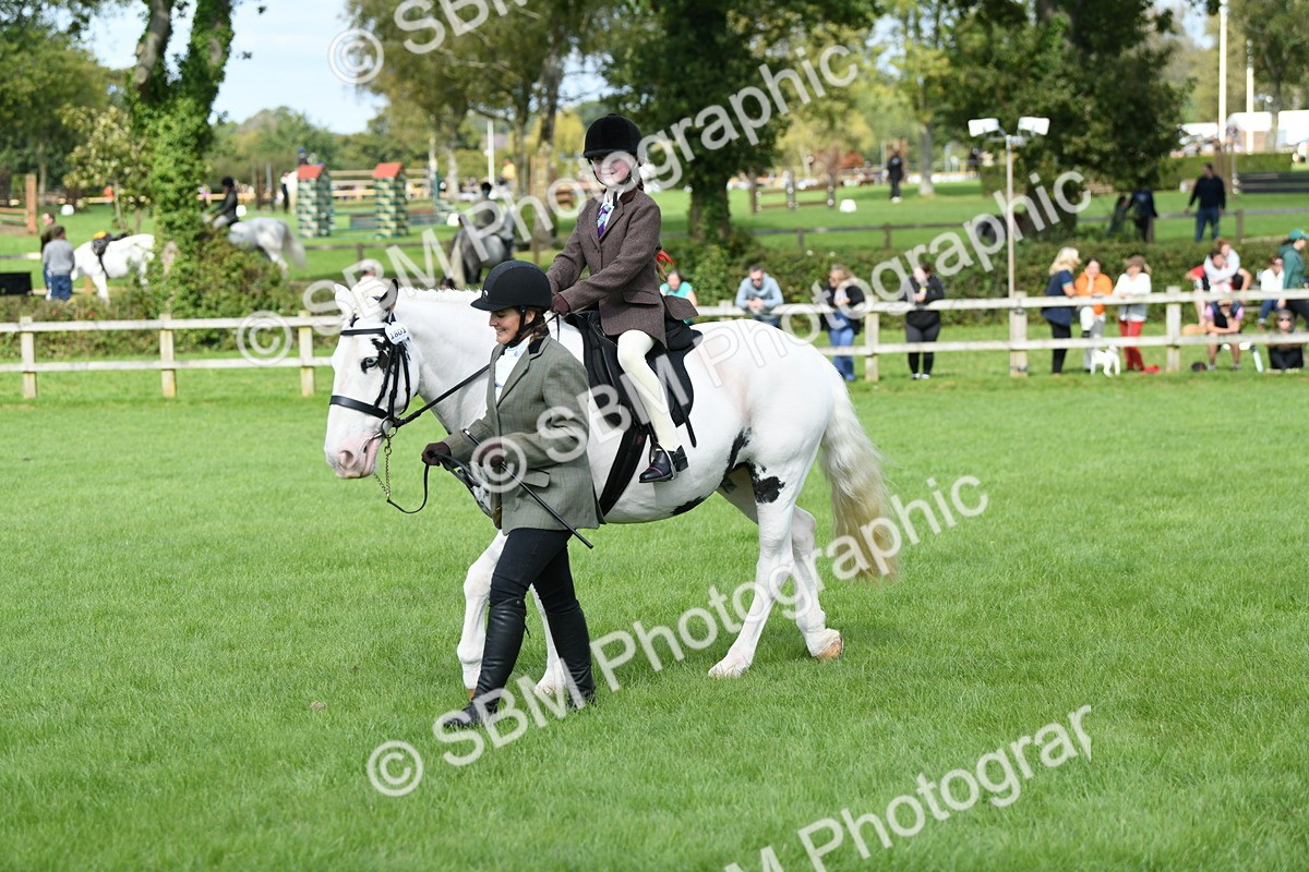 SBM_46823 - S12 - Family Horse & Pony