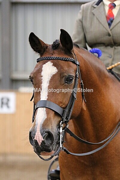 SIAL2766 - Sunday 14th Ridden