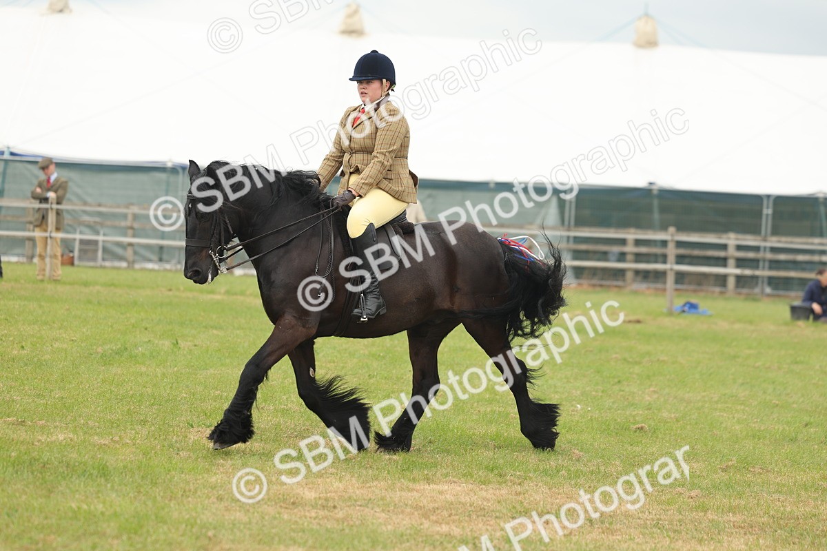 SBM_08957 - Class 78-80 - Ridden M&M Non Welsh Ponies