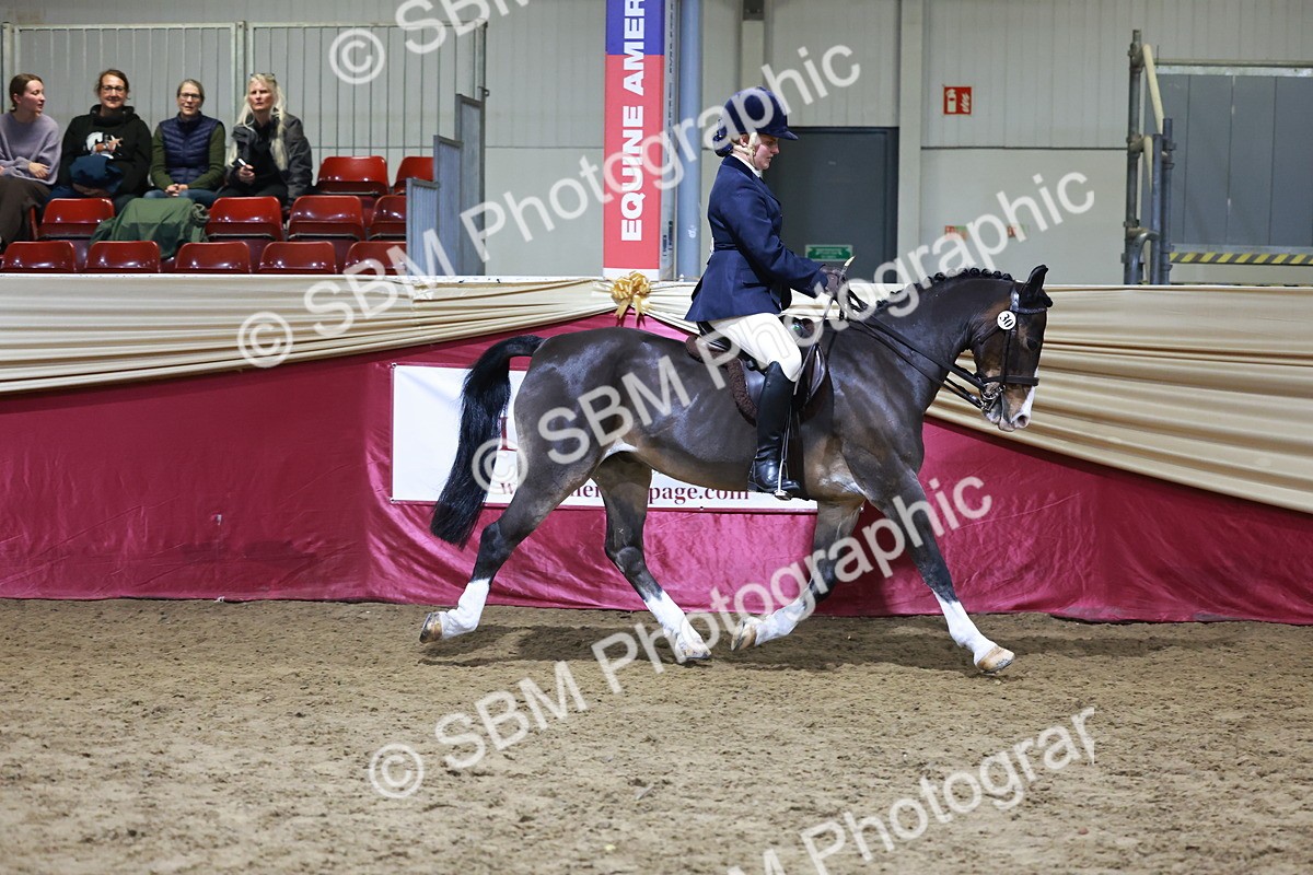 SBM_21361 - Class T - Working Veteran Champs