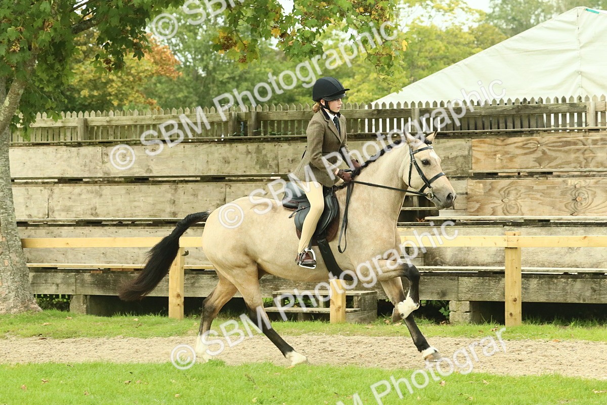 SBM_74023 - S 61 - Show Pony & Show Hunter Pony Ridden