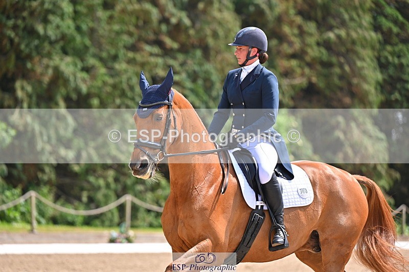 250523A-141639-07286 - B-360-Lucy.K.Wheeler-KING.CREOLE.VD.N.RANCH