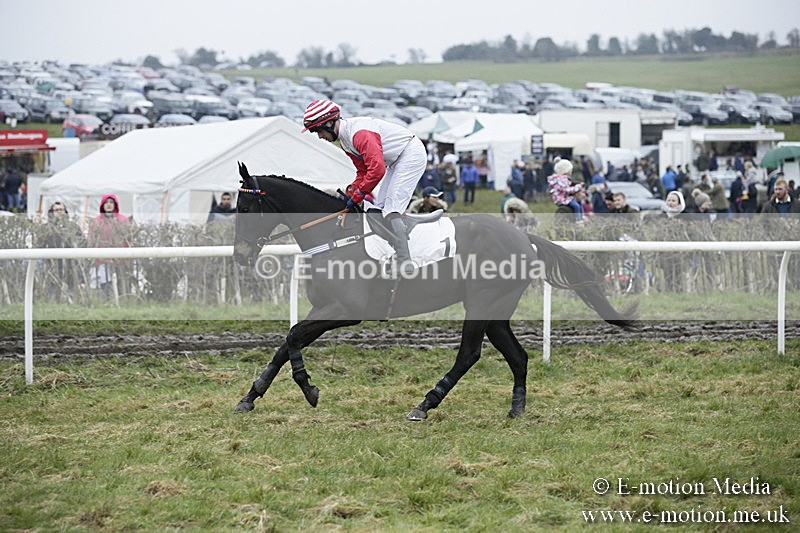 PtP 020418 -12 - Old Berks Point-to-Point Races Easter Monday 02/04/18