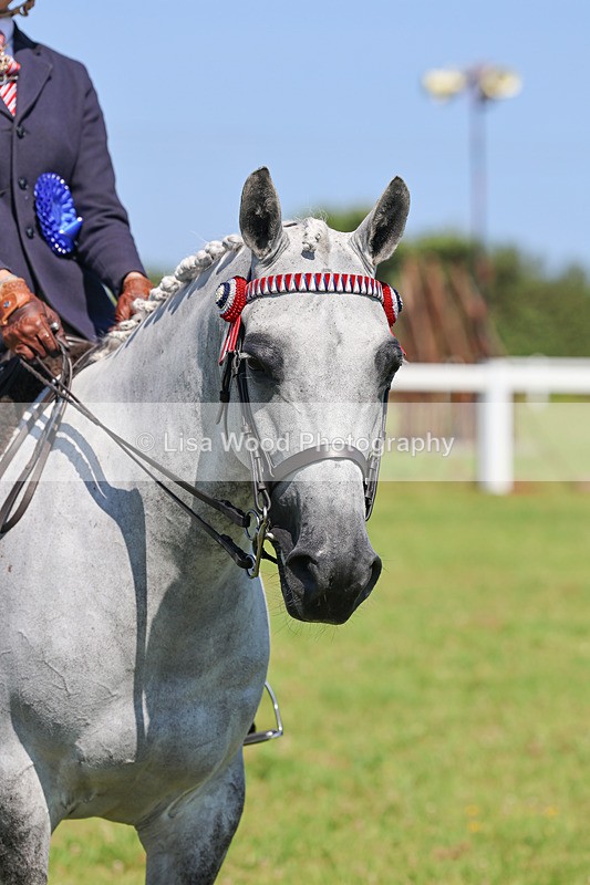 IMG_2145 - Plaited Ridden Championship