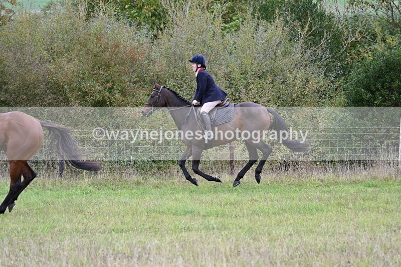 WJ7_3995 - Camera 1 Line 1