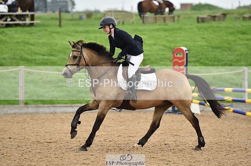 230902A-113602-00768 - Cls 2B Pony Small 80cm