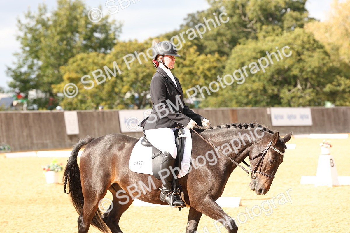 SBM_24668 - D17 - Grand Tour Championship Novice 3