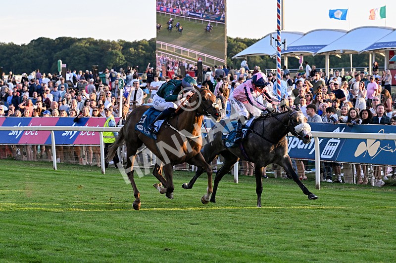 240726-Race 6-Explosive Finnish-5601 - Race 6 20.25pm Sky Bet Go-Racing-In-Yorkshire Summer Festival Handicap