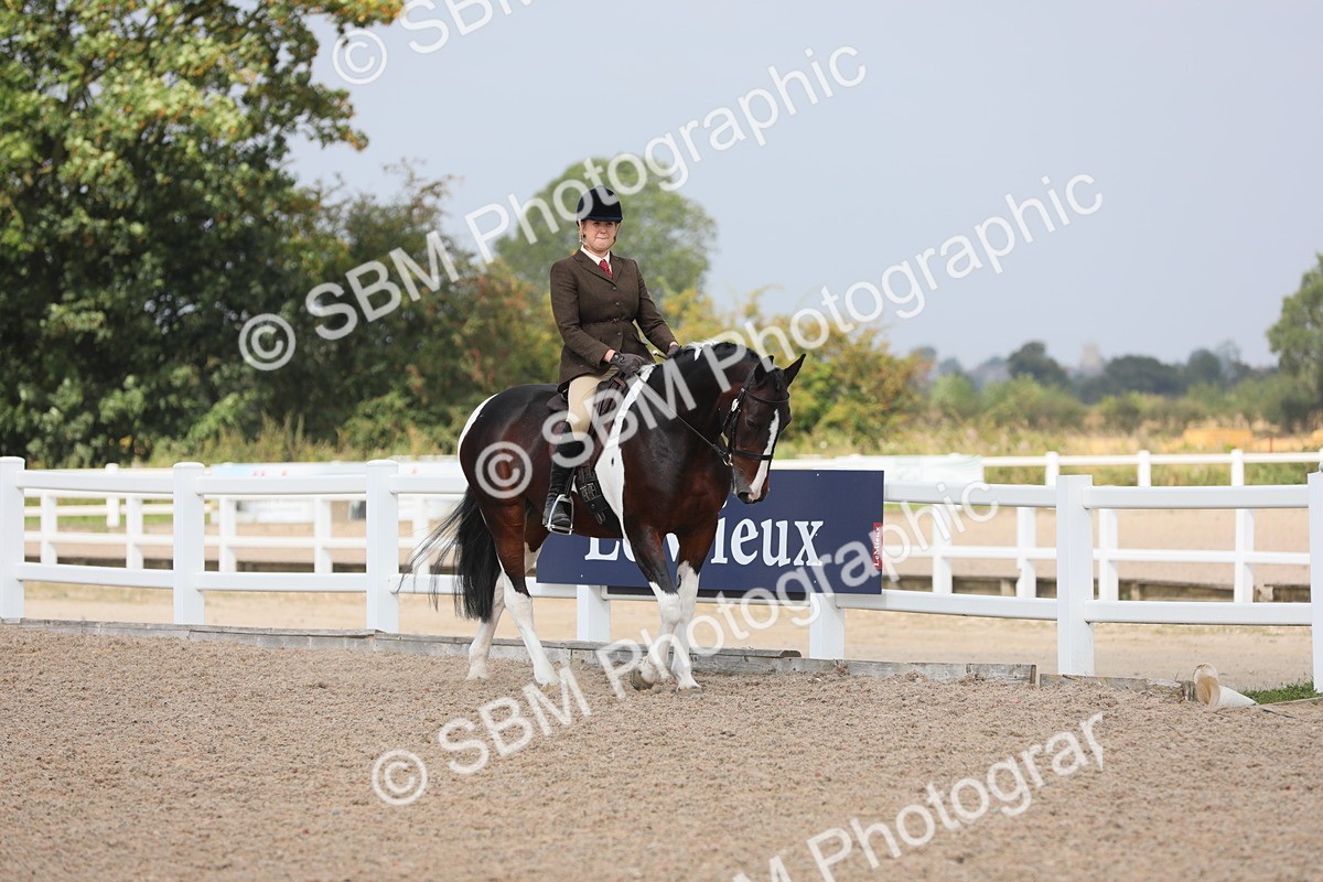 SBM_13328 - Class 308 Ridden Coloured Horse