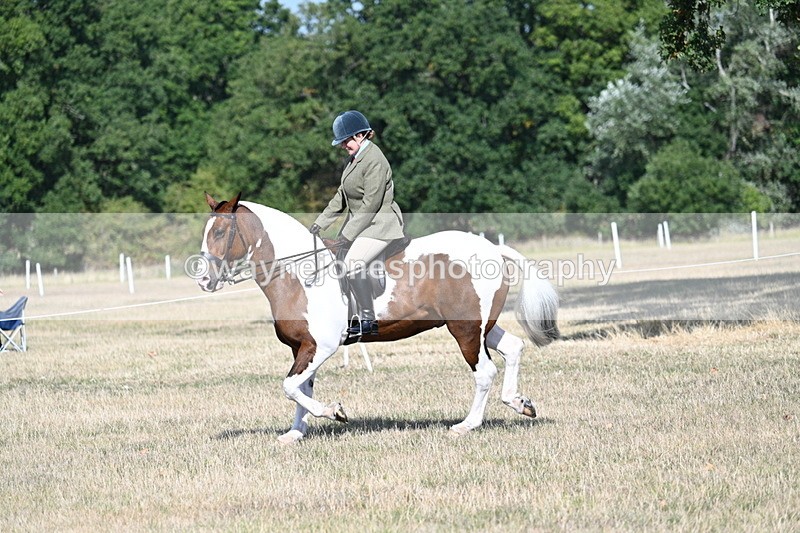 WJ7_2845 - Class 8 Ridden Tack & Turnout