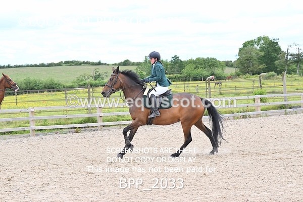 BPP_2033 - CLASS 19 SUN Senior Discovery/ 1m Open