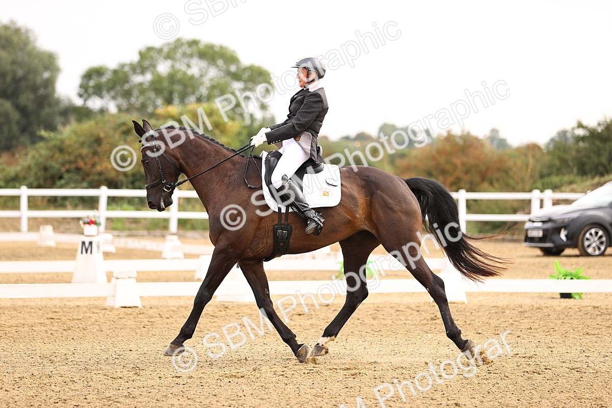 SBM_011572 - Class 1 - Medium 5