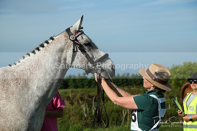 DSPX2115 - Friday vetting