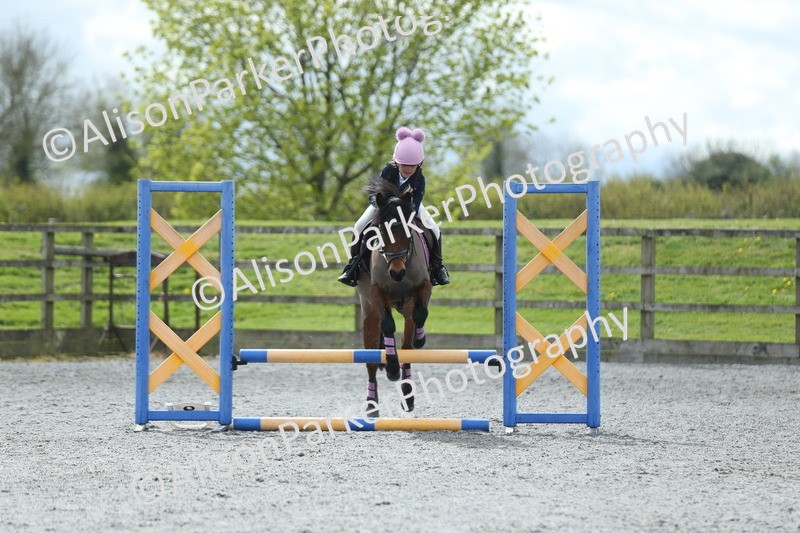 20260412-1758 - Show Jumping