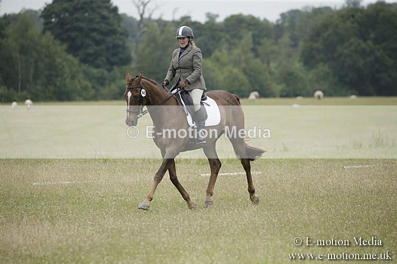 B230619-0786 - Bourne Valley Riding Club Summer Show 23/06/19
