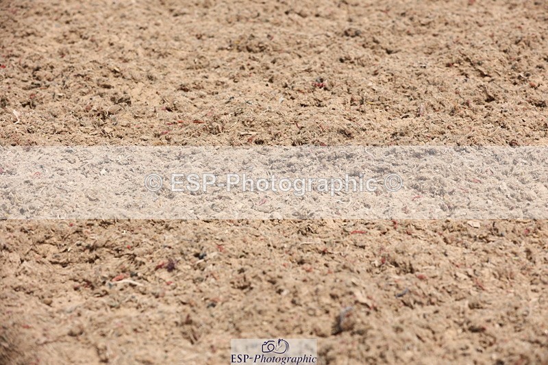 240621A-110436-00364 - Cls 9 BD Music Elementary