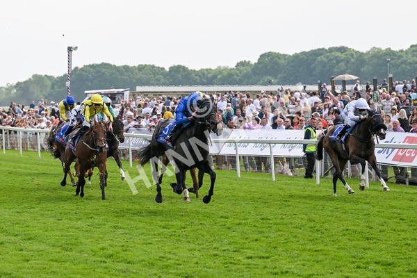 170524-Race 3-Devoted Queen-7867 - Race 3 3.15pm Sky Bet Fillies' Stakes (Registered As The Michael Seely Memorial Fillies' Stakes)