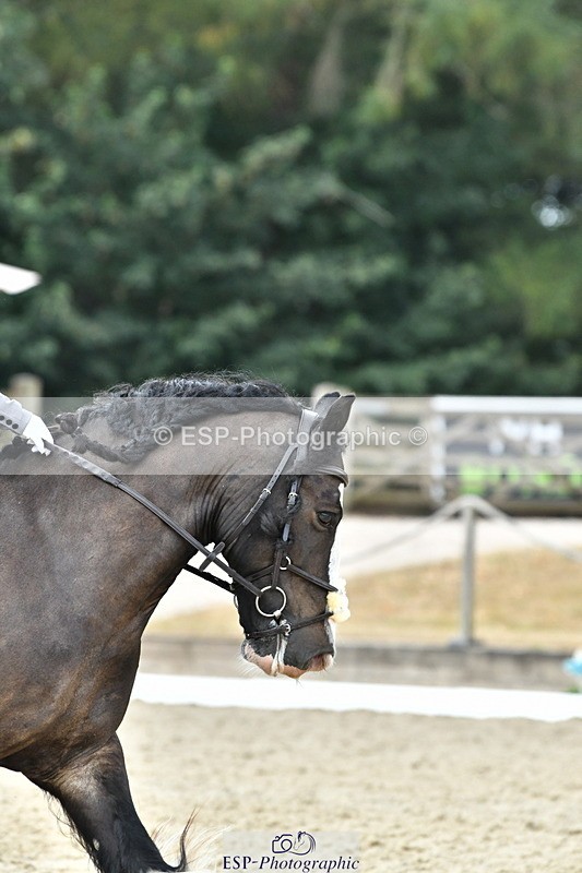 260801A-121858-03889 - Prelim SIlver Break - End