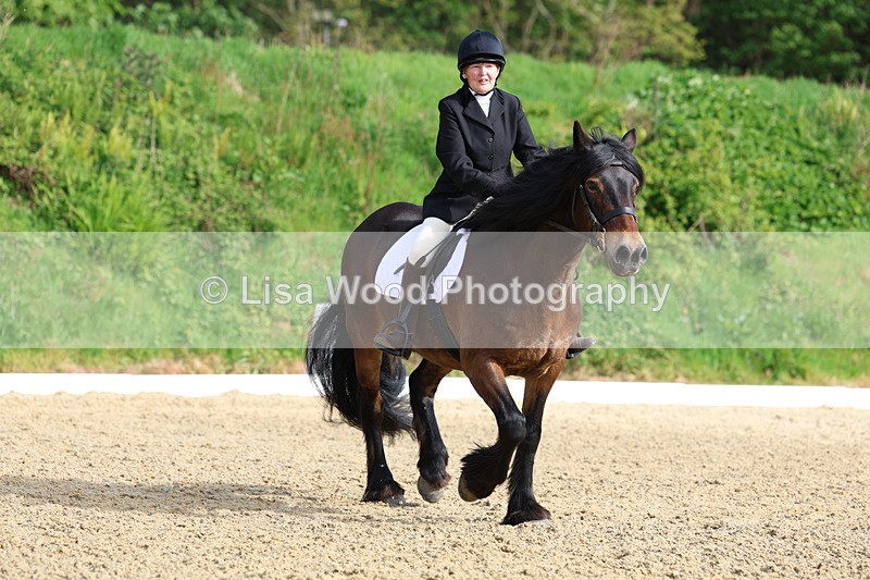 3E7A3321 - Class 2: INTRO B- INTRO 3 2024