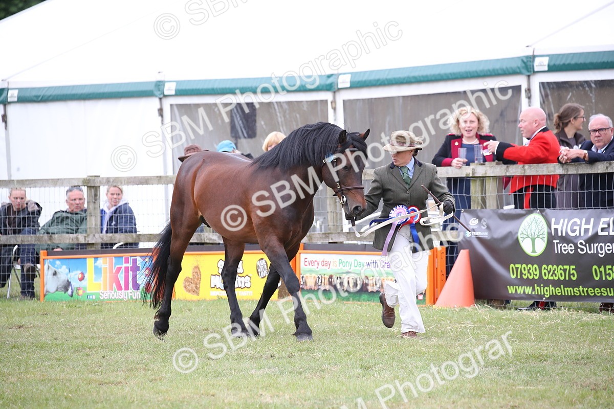 SBM_09766 - Ch 50 - Price Family Supreme In Hand