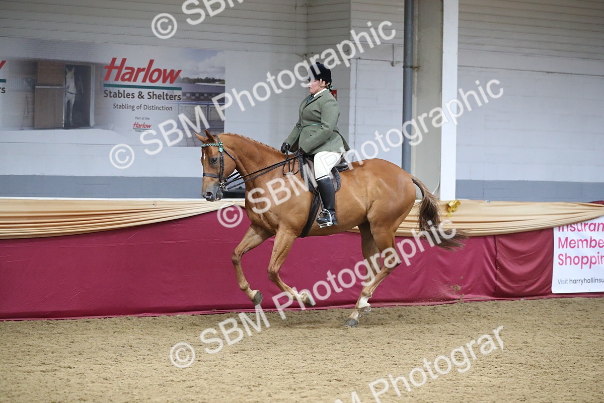 SBM_12344 - Class 108 Ridden Retired Racehorse- Pre Judging