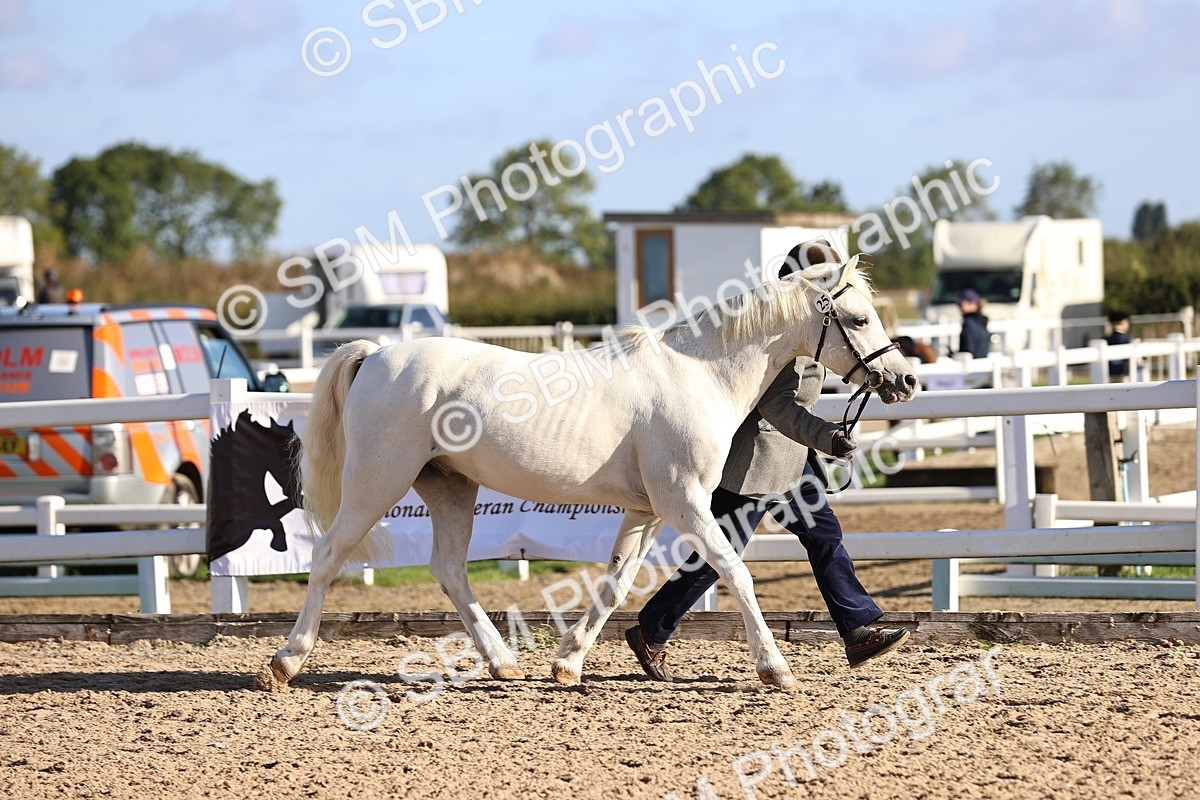 SBM_08461 - Class 402 - IH Veteran Pony