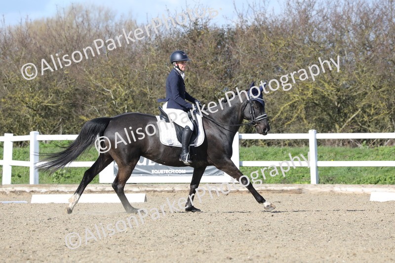 20260314-4970 - CT6 - Elementary 1