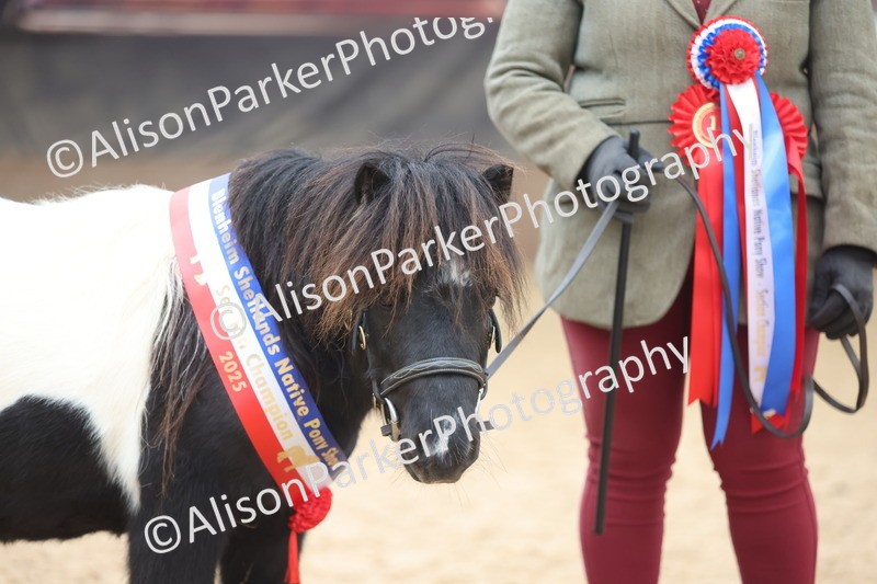 20251109-0458 - Championship